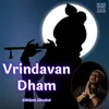 About Vrindavan Dham Song